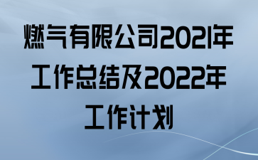 ȼ޹˾2021깤ܽἰ2022깤ƻ